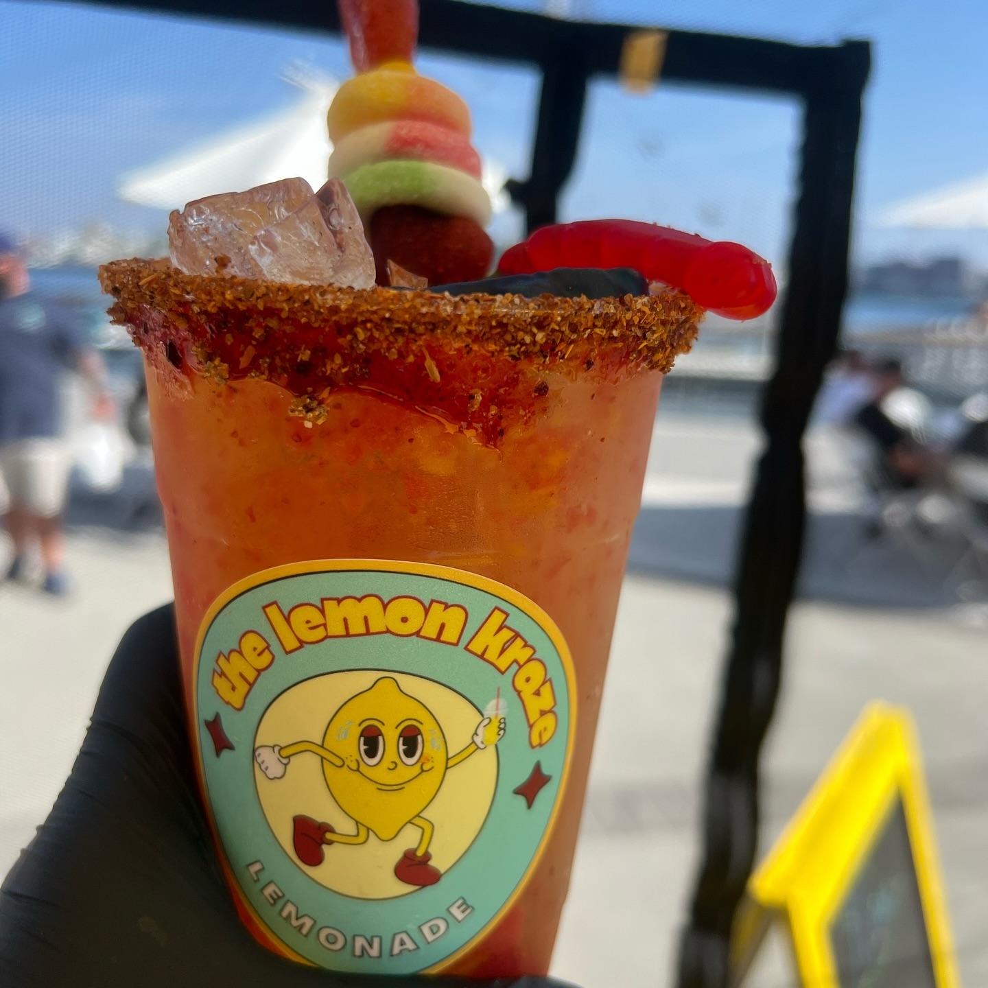 Artisan lemonade stand at a private party